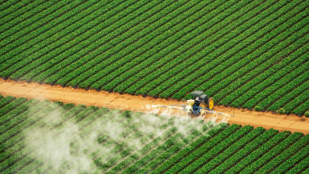 Best Best Pest Control Companies  in Taylor, AL