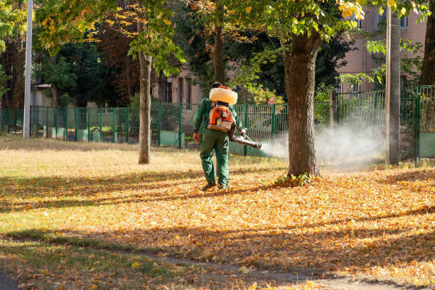 Best Local Pest Control Services  in Taylor, AL